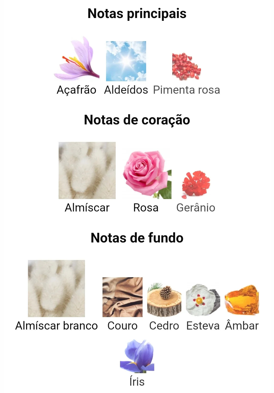 Amberley Amoroso | 100ml - Maison