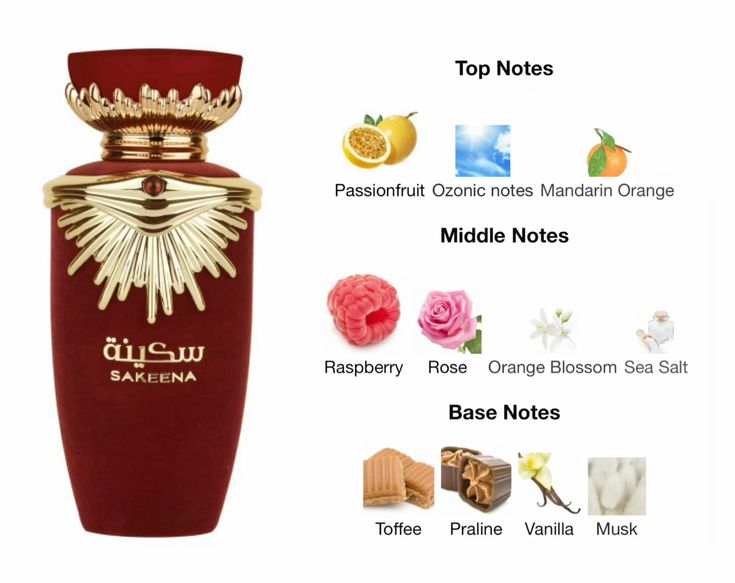 Sakeena | 100ml - Lattafa